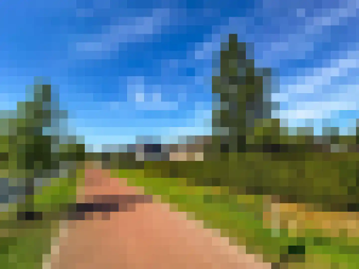 Prinsenstraat 50 Zundert thumbnail 10