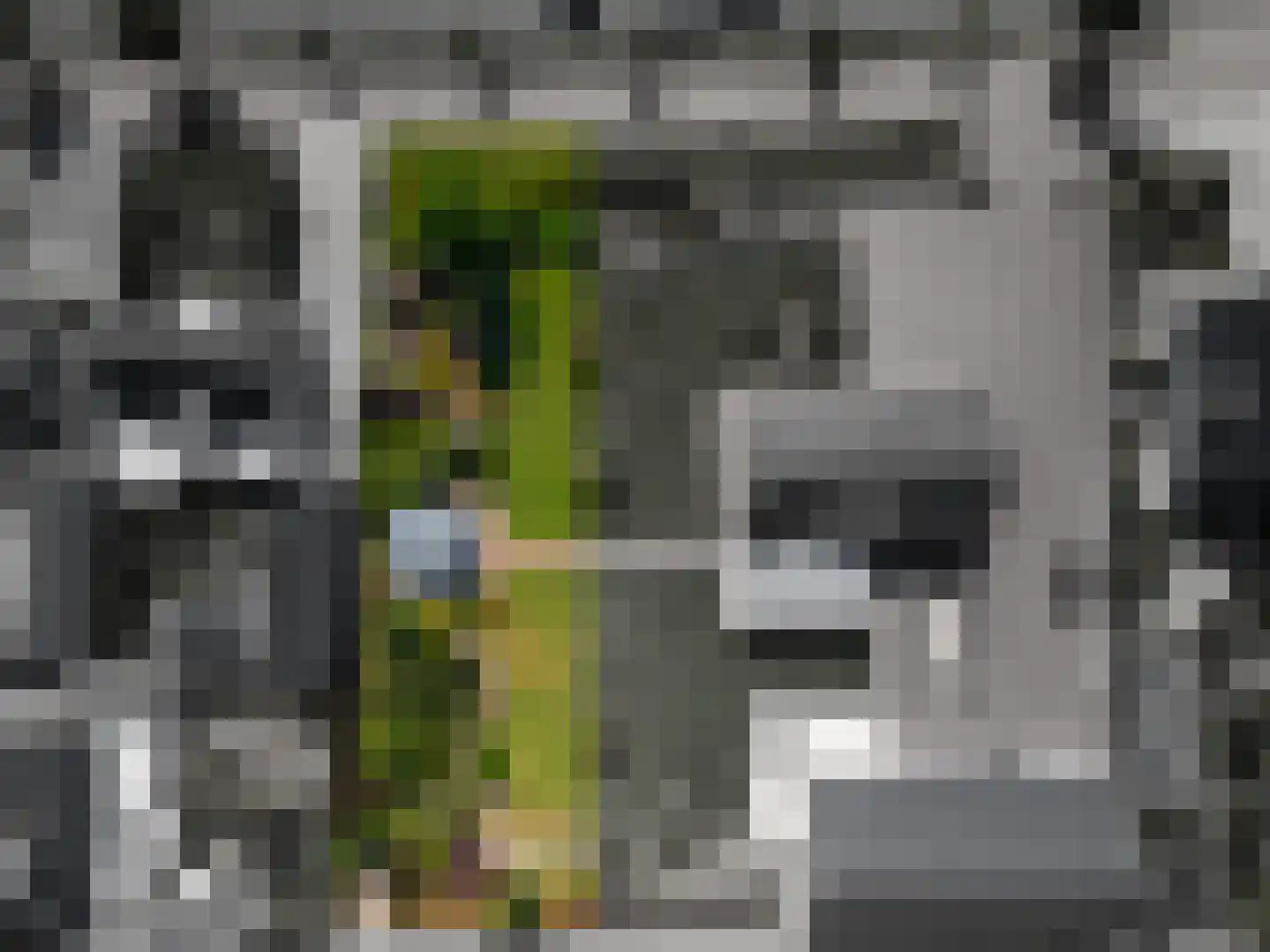 Prinsenstraat 50 Zundert thumbnail 4