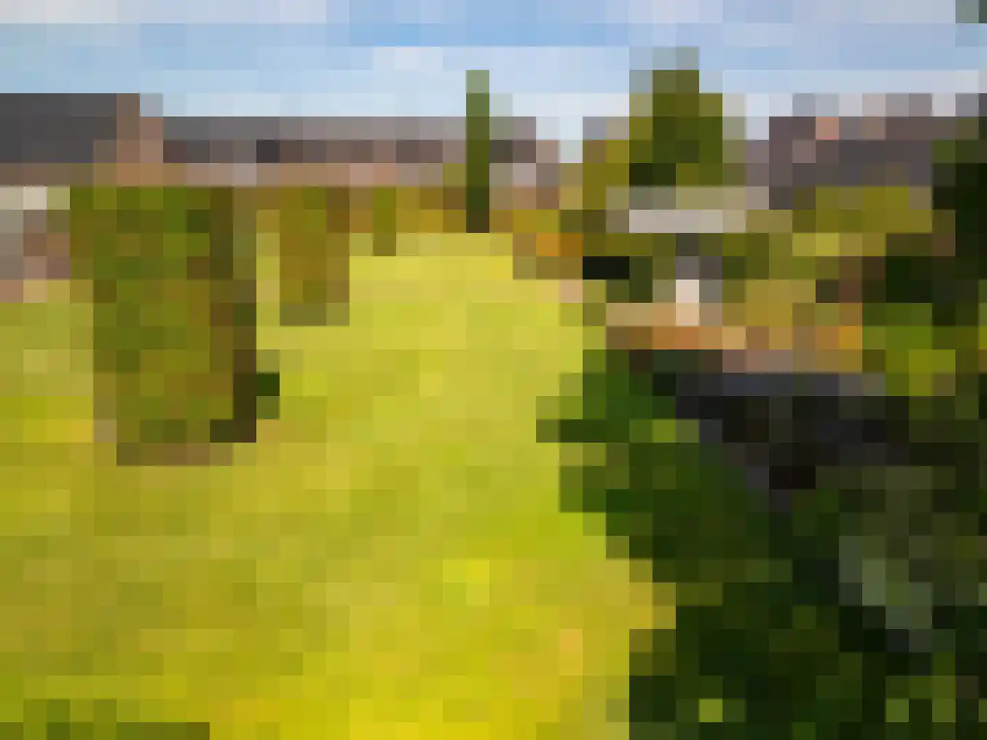 Prinsenstraat 50 Zundert thumbnail 7