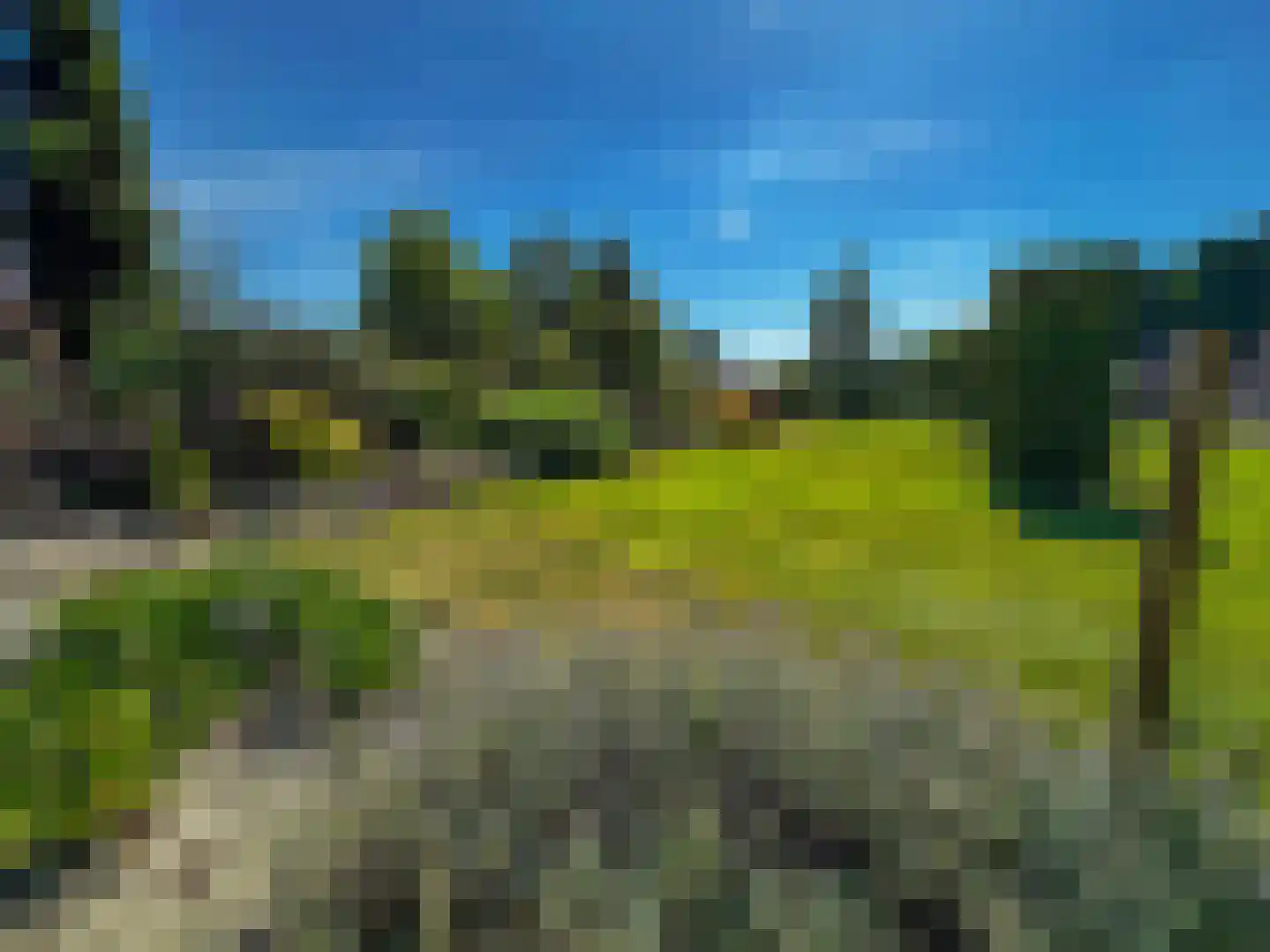 Prinsenstraat 50 Zundert thumbnail 8