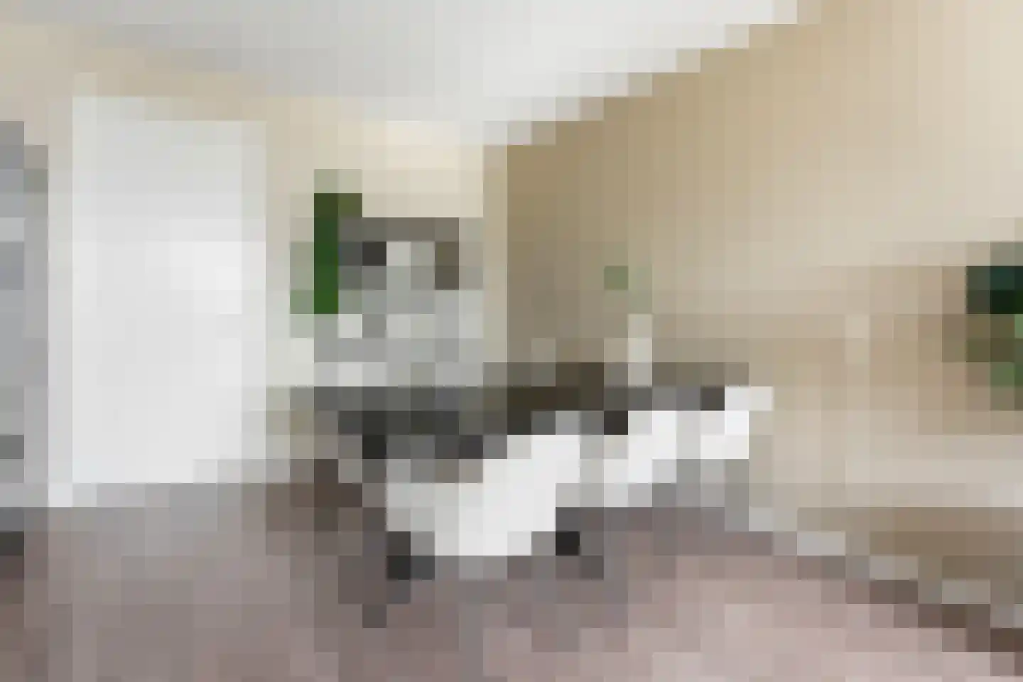 Prinsenstraat 63 Ridderkerk thumbnail 4