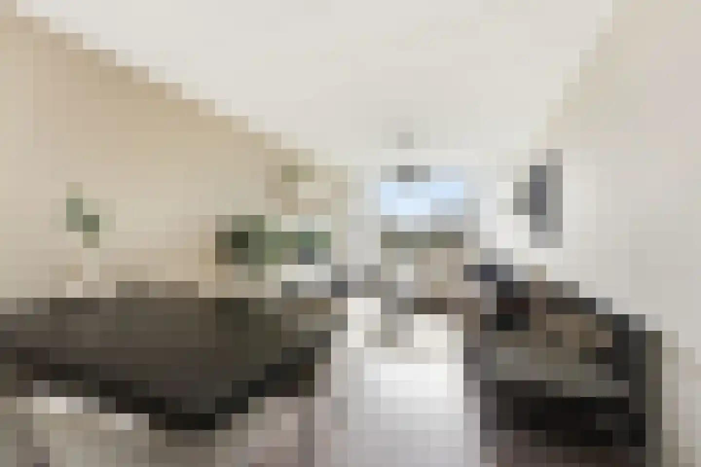 Prinsenstraat 63 Ridderkerk thumbnail 7