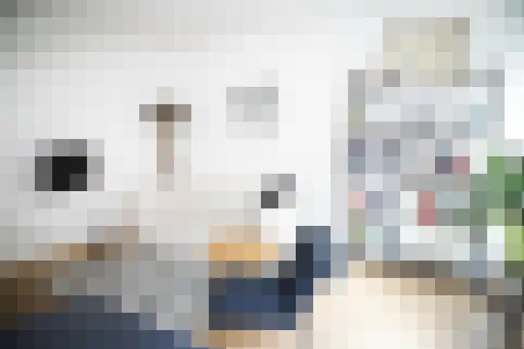 Prinsenstraat 7 Amsterdam thumbnail 5