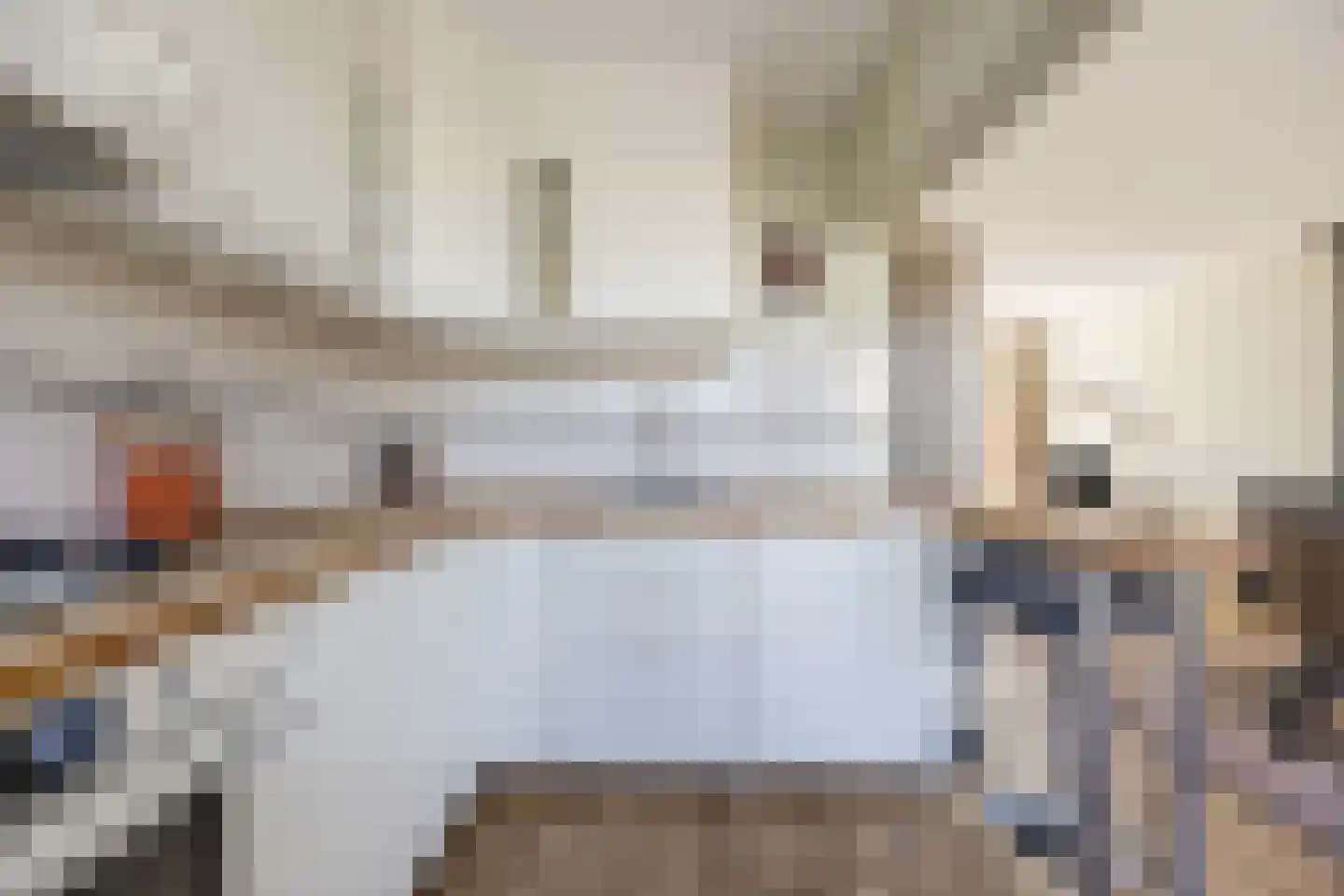 Prinsenstraat 7 Rijen thumbnail 16