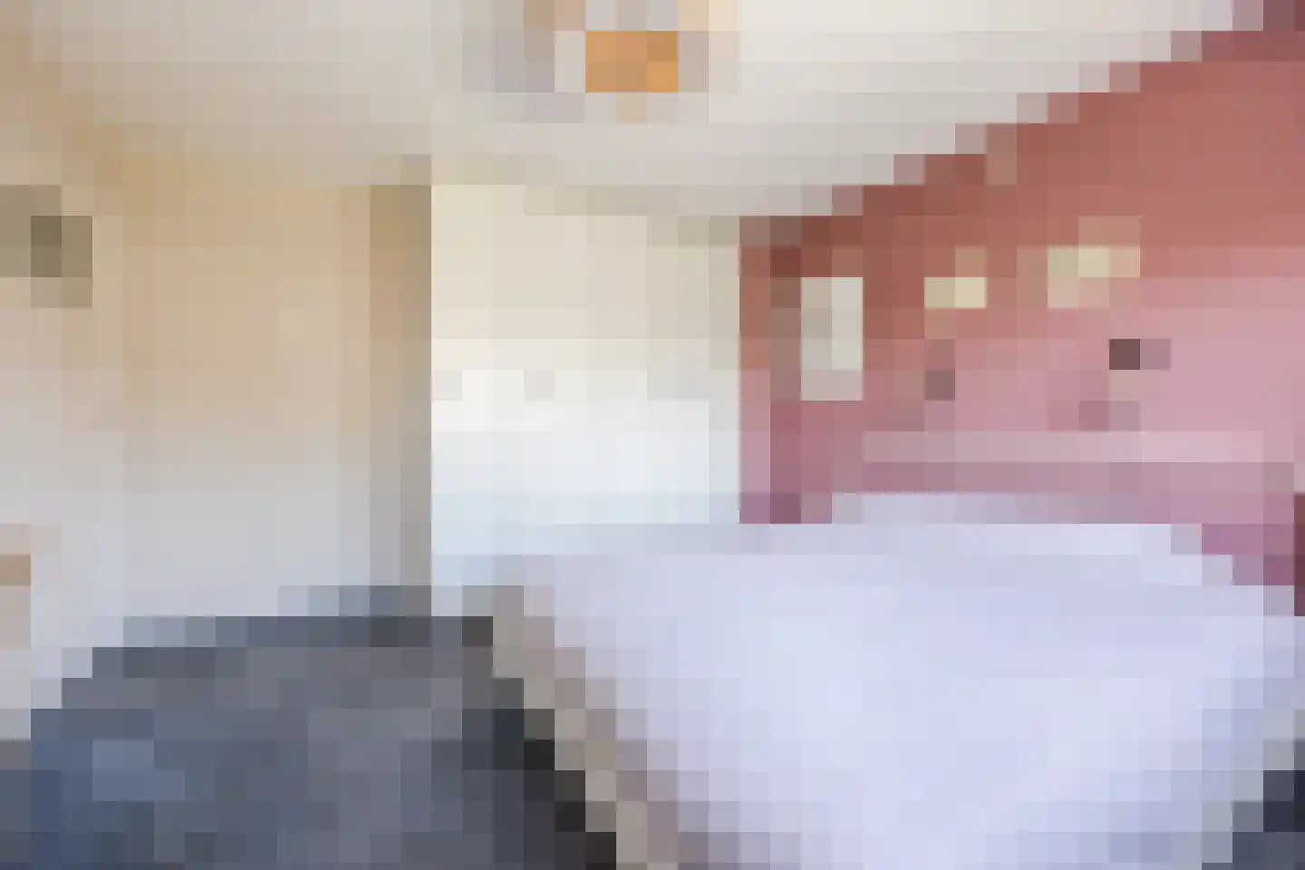 Prinsenstraat 7 Rijen thumbnail 20