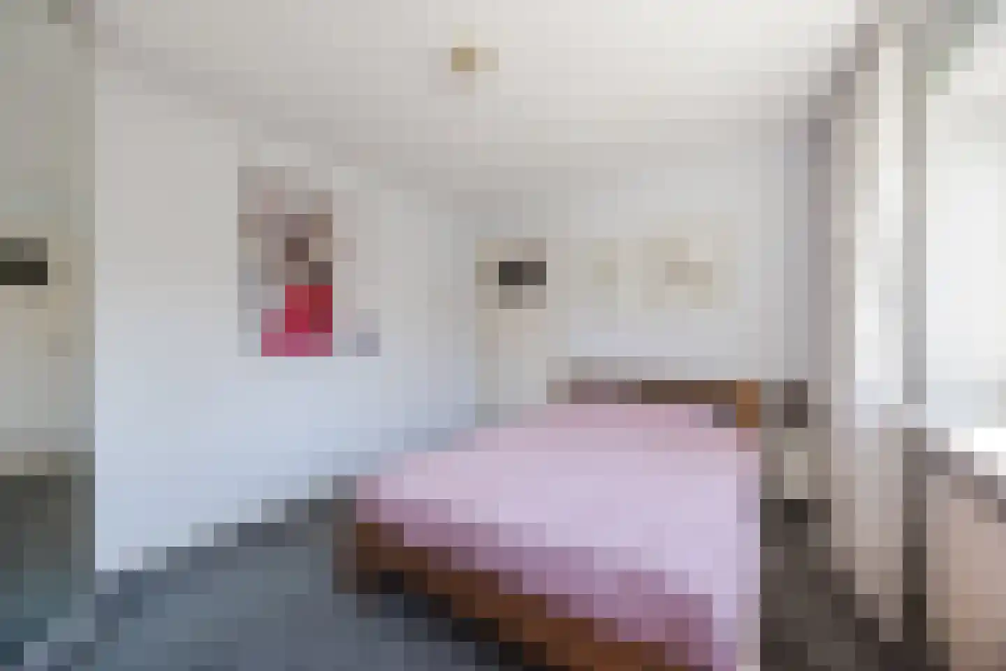 Prinsenstraat 7 Rijen thumbnail 24
