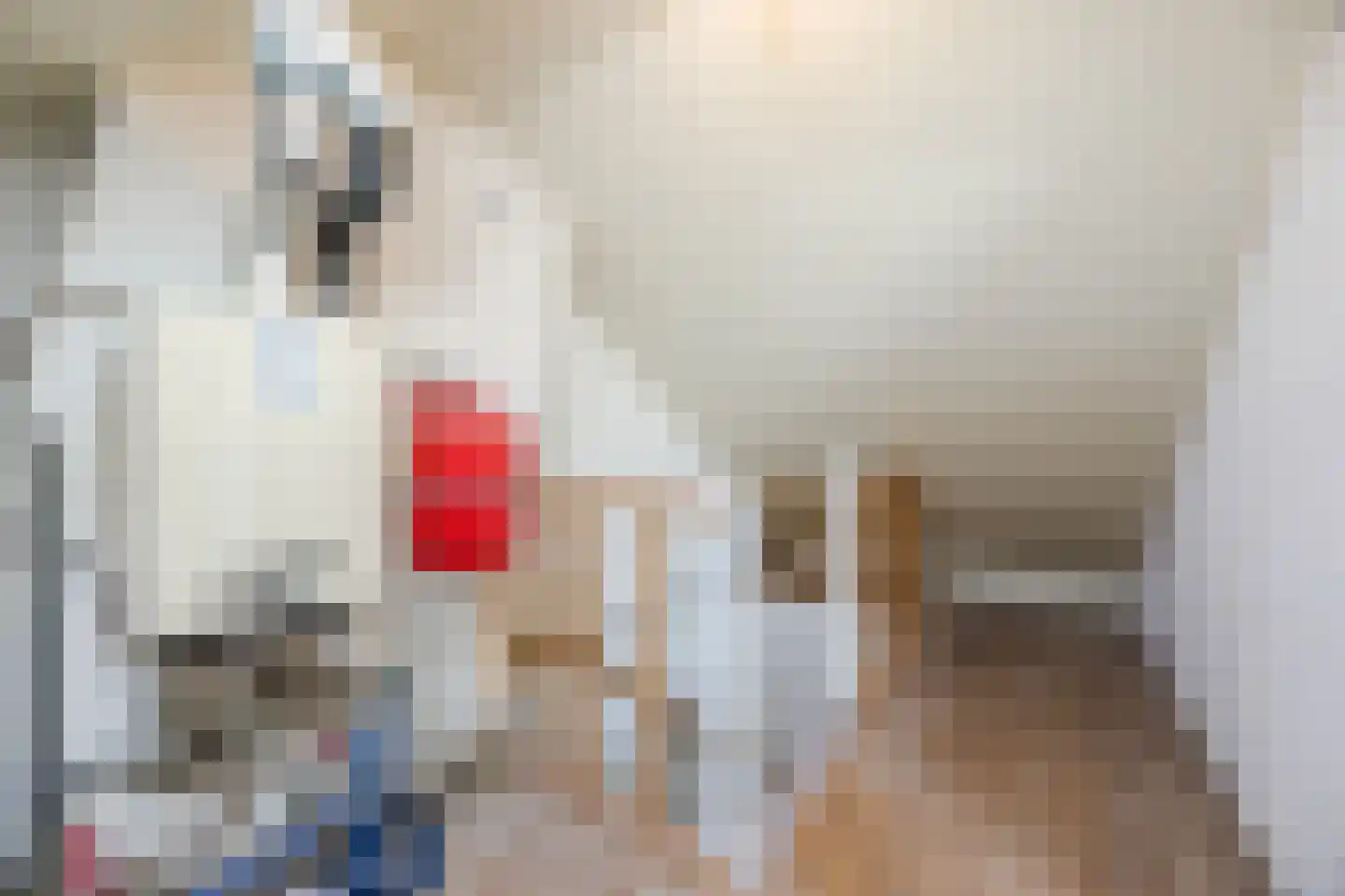 Prinsenstraat 7 Rijen thumbnail 31