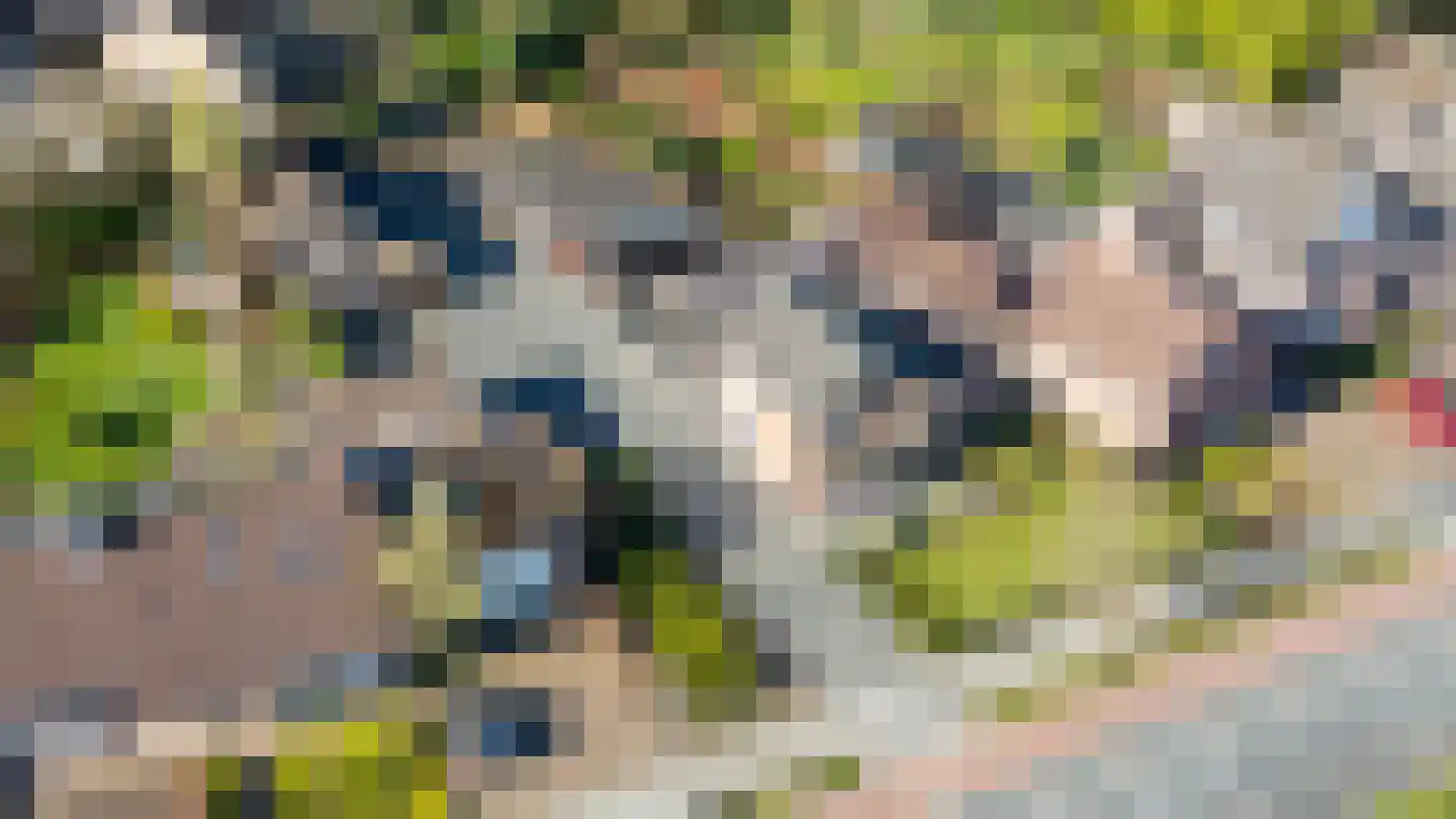 Prinsenstraat 71 Zundert thumbnail 8