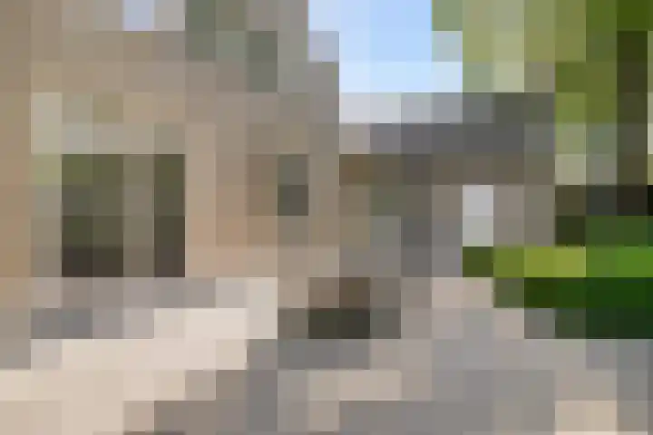 Prinsenstraat 79 Zundert thumbnail 43