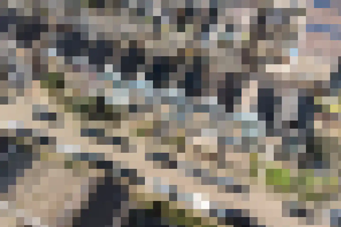 Prinsenstraat 8 Ridderkerk thumbnail 40