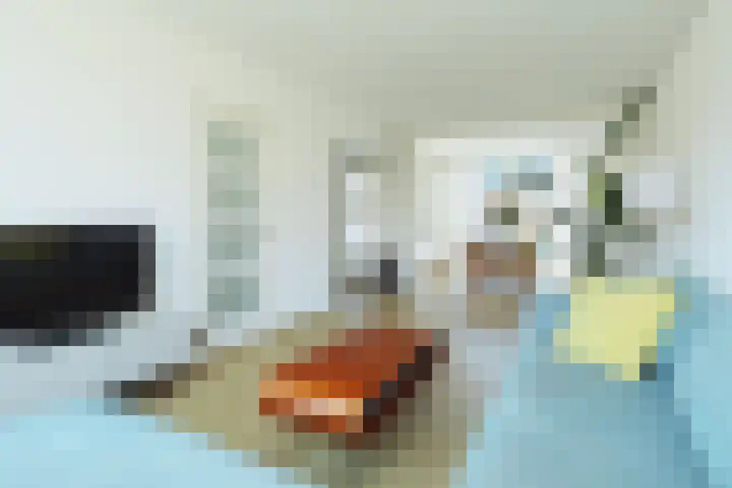 Prinsenstraat 8 Ridderkerk thumbnail 8