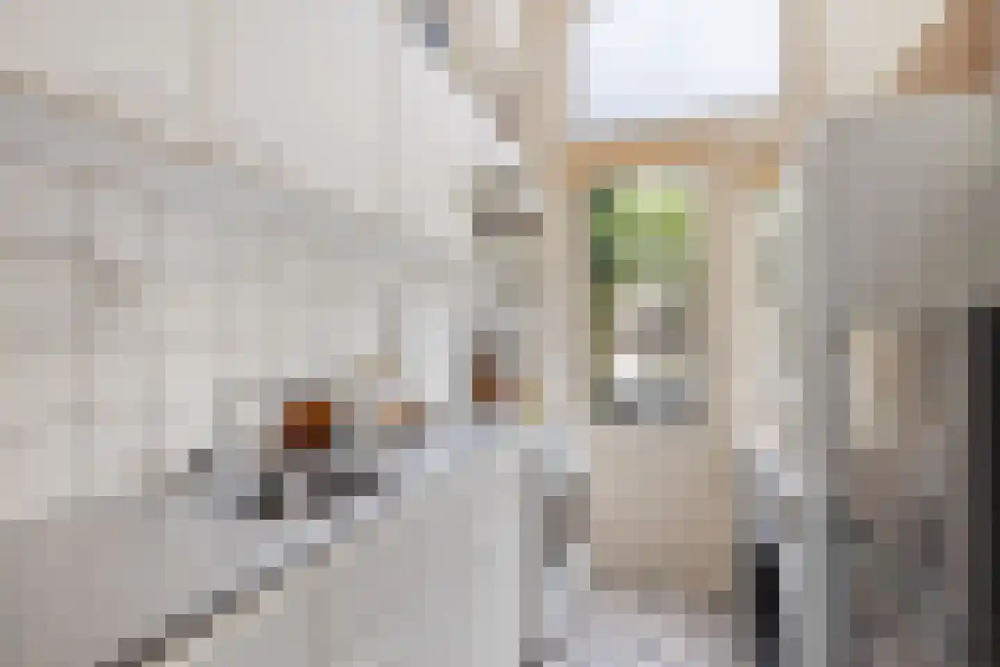 Prinsenstraat 84 Utrecht thumbnail 16