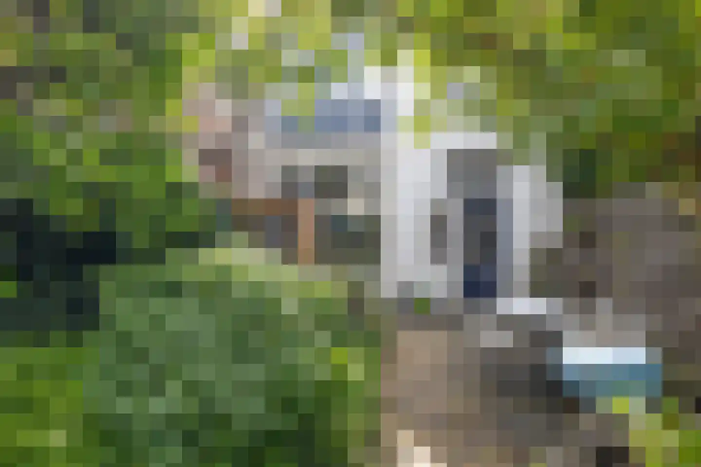 Prinsenstraat 84 Utrecht thumbnail 23