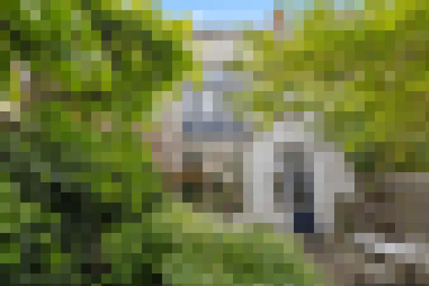 Prinsenstraat 84 Utrecht thumbnail 4