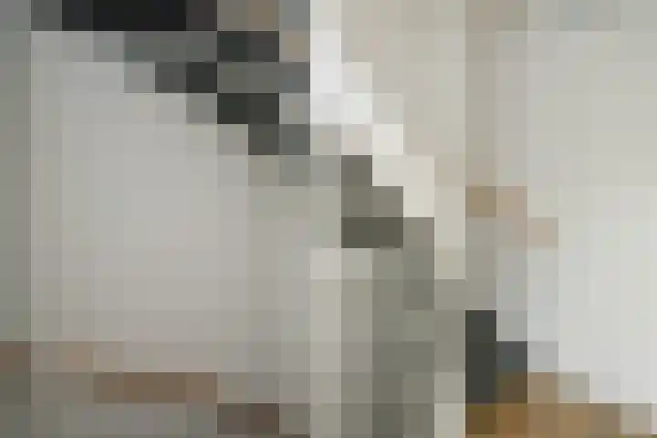 Prinsentuin 19 Zevenhuizen thumbnail 23