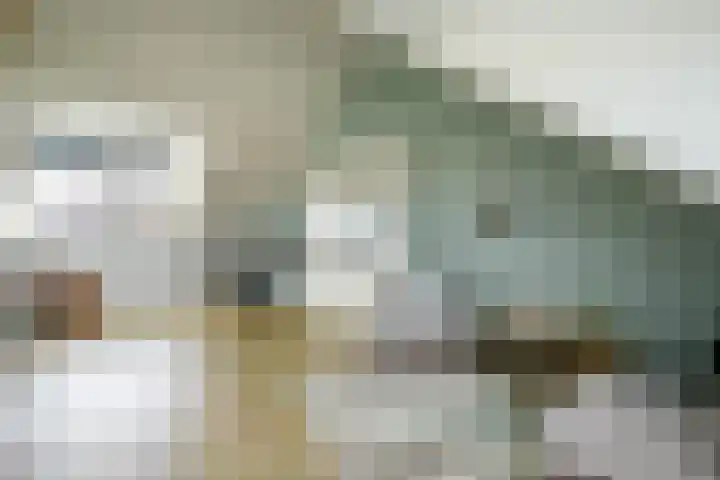 Prinsentuin 19 Zevenhuizen thumbnail 24