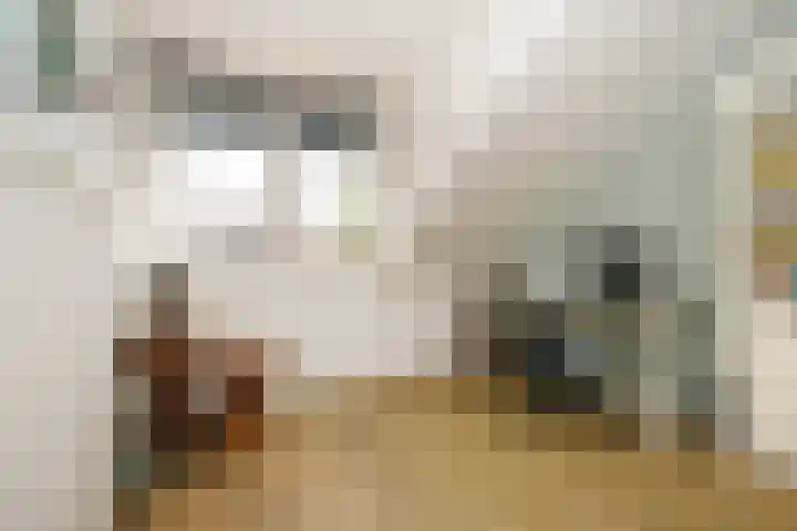 Prinsentuin 19 Zevenhuizen thumbnail 27
