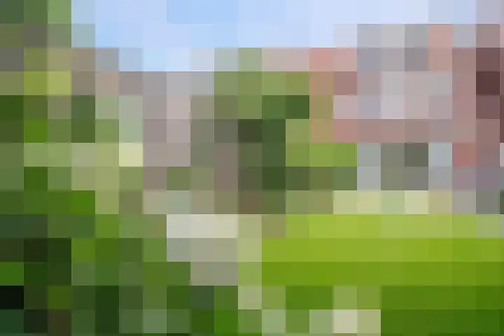 Prinsentuin 19 Zevenhuizen thumbnail 30
