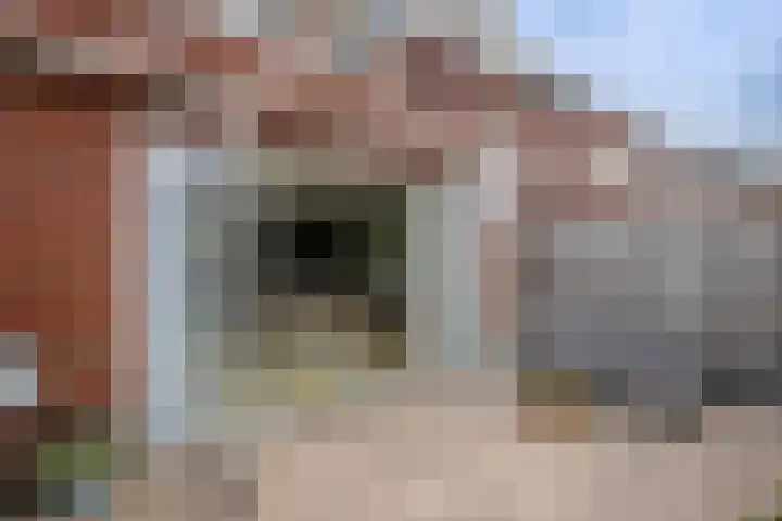 Prinsentuin 19 Zevenhuizen thumbnail 32