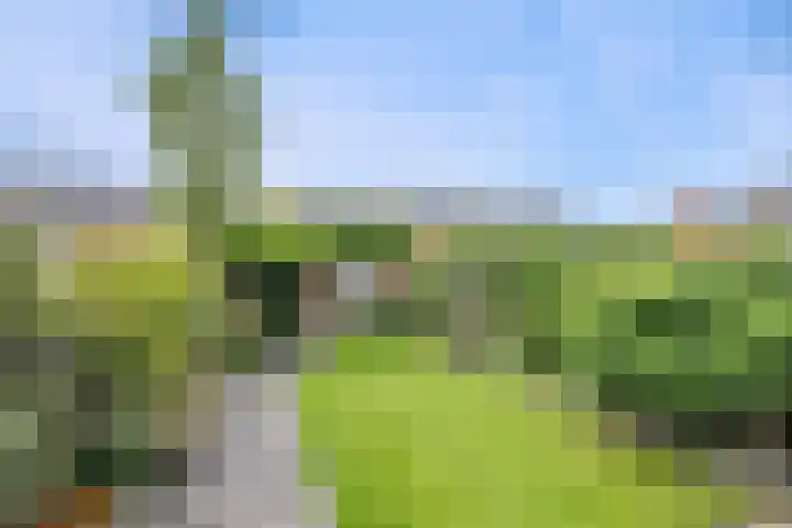 Prinsentuin 19 Zevenhuizen thumbnail 34