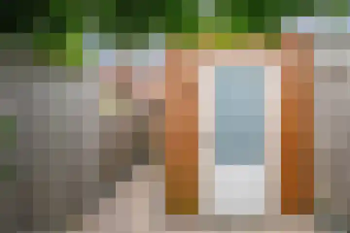 Prinsentuin 19 Zevenhuizen thumbnail 37