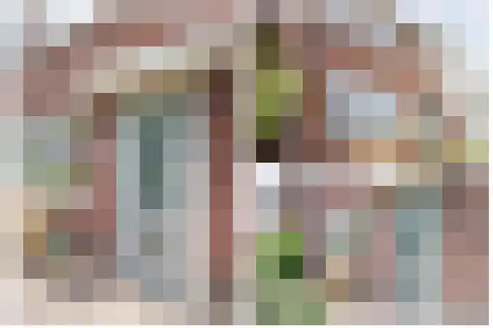 Prinsentuin 19 Zevenhuizen thumbnail 45
