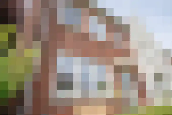Prinsentuin 19 Zevenhuizen thumbnail 49