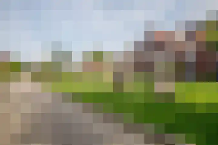 Prinsentuin 19 Zevenhuizen thumbnail 51