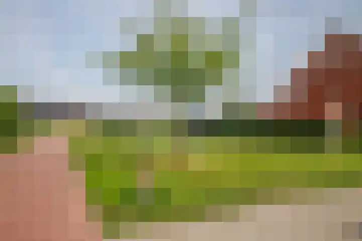 Prinsentuin 19 Zevenhuizen thumbnail 52