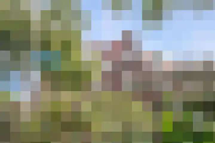 Prinsentuin 19 Zevenhuizen thumbnail 53