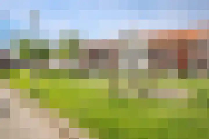 Prinsentuin 19 Zevenhuizen thumbnail 55