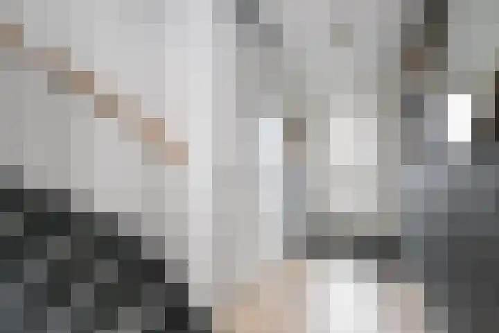 Prinsentuin 19 Zevenhuizen thumbnail 6