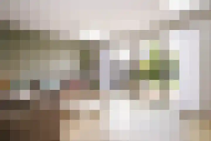 Prinsentuin 19 Zevenhuizen thumbnail 9