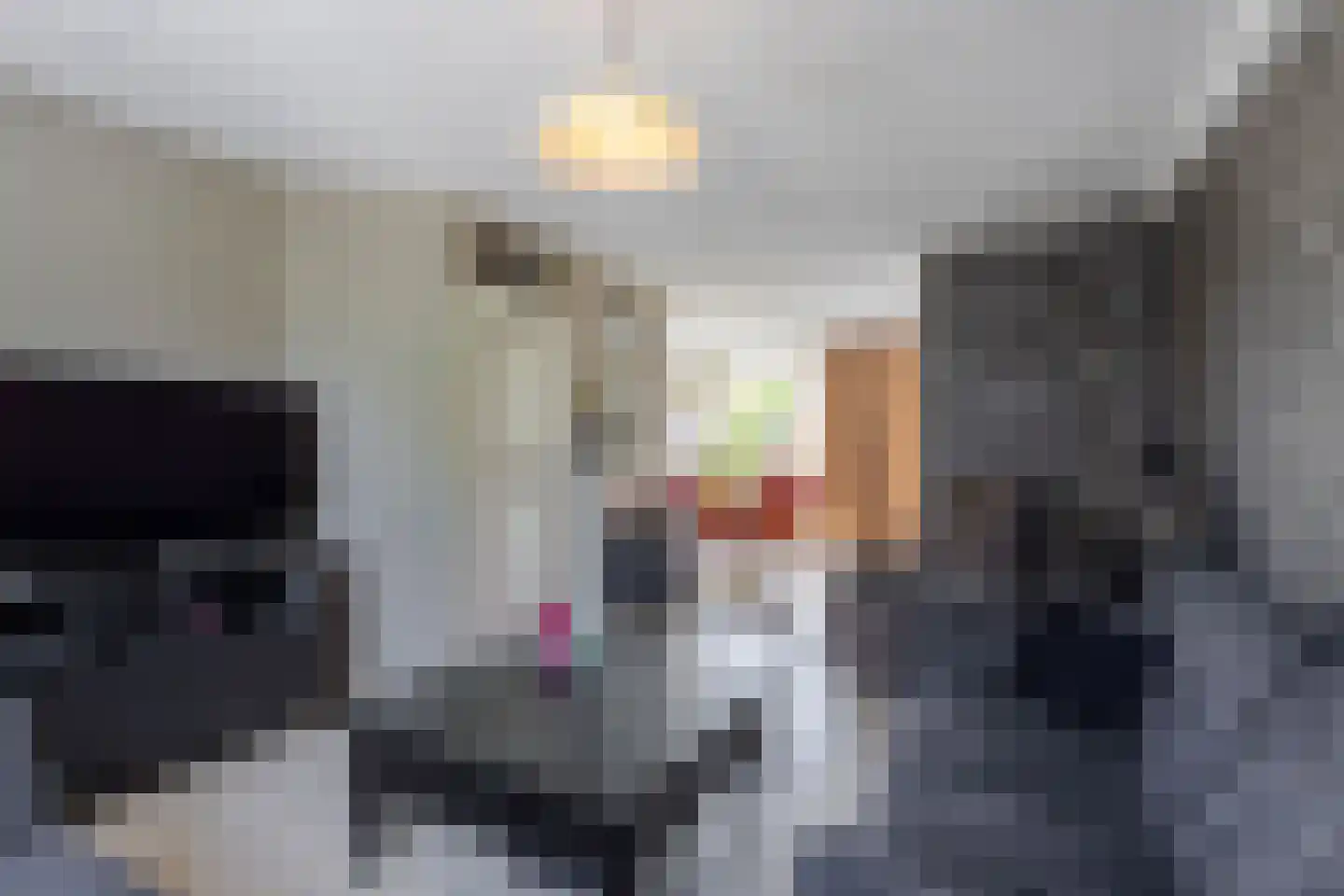 Prinsenweer 14 Sliedrecht thumbnail 5