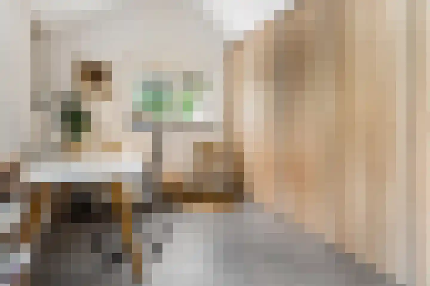 Prinsenweg 11 Elst Ut thumbnail 17
