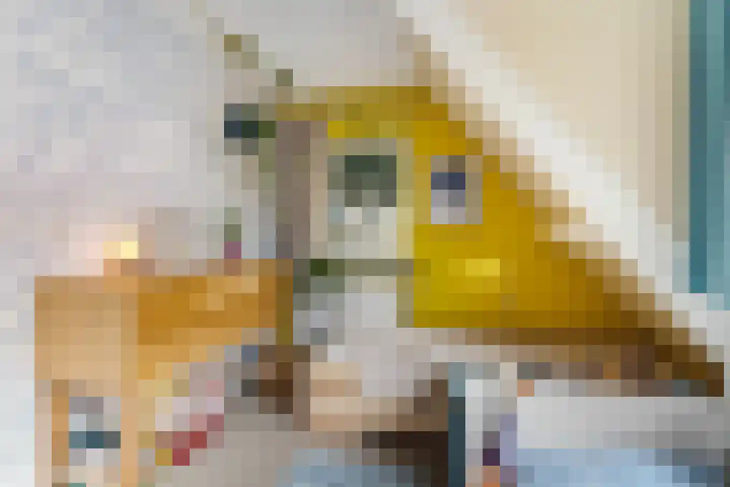 Prinsenweg 11 Elst Ut thumbnail 22