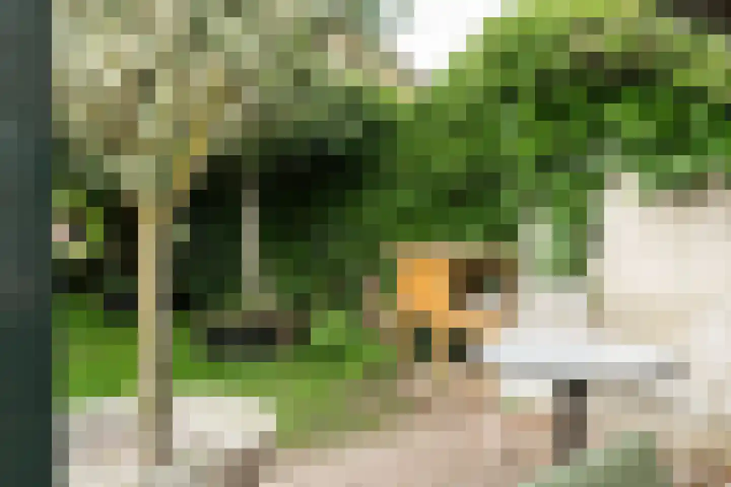 Prinsenweg 11 Elst Ut thumbnail 33
