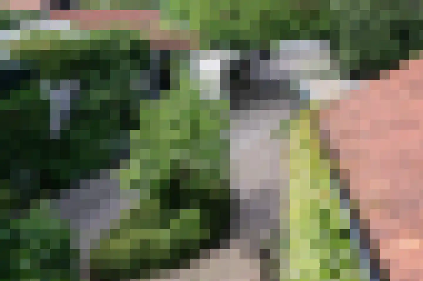 Prinsenweg 11 Elst Ut thumbnail 41