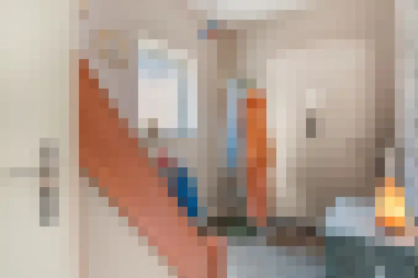 Prinsenweg 11 Elst Ut thumbnail 6