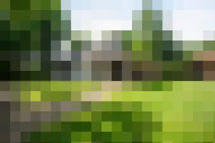 Prinsenweg 12 a Nijkerk thumbnail 22