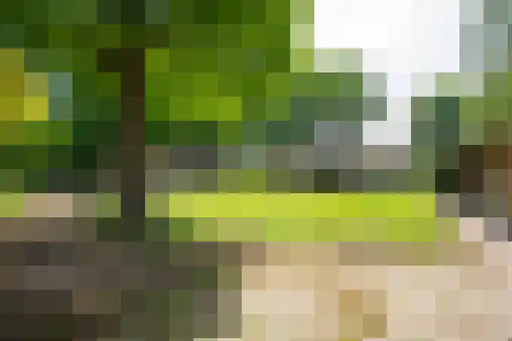Prinsenweg 12 a Nijkerk thumbnail 23
