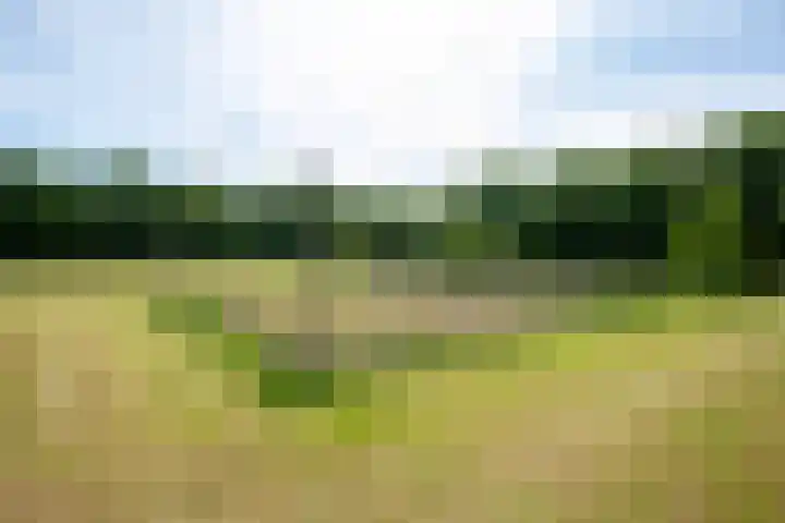 Prinsenweg 12 a Nijkerk thumbnail 34