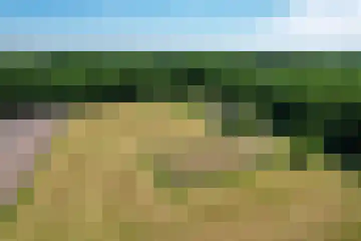 Prinsenweg 12 a Nijkerk thumbnail 38