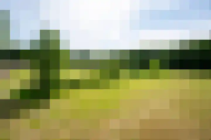 Prinsenweg 12 a Nijkerk thumbnail 40