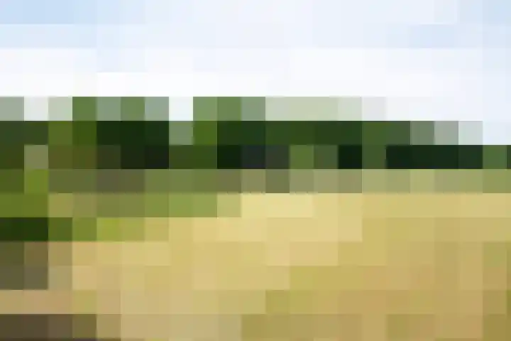 Prinsenweg 12 a Nijkerk thumbnail 41