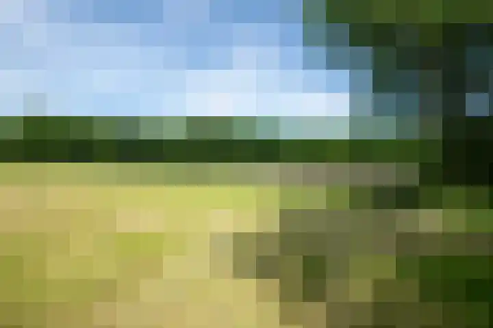 Prinsenweg 12 a Nijkerk thumbnail 42