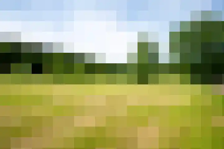 Prinsenweg 12 a Nijkerk thumbnail 43