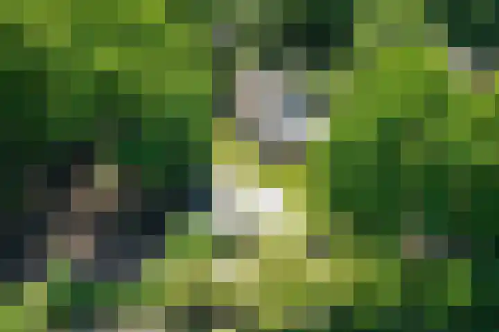Prinsenweg 12 a Nijkerk thumbnail 5