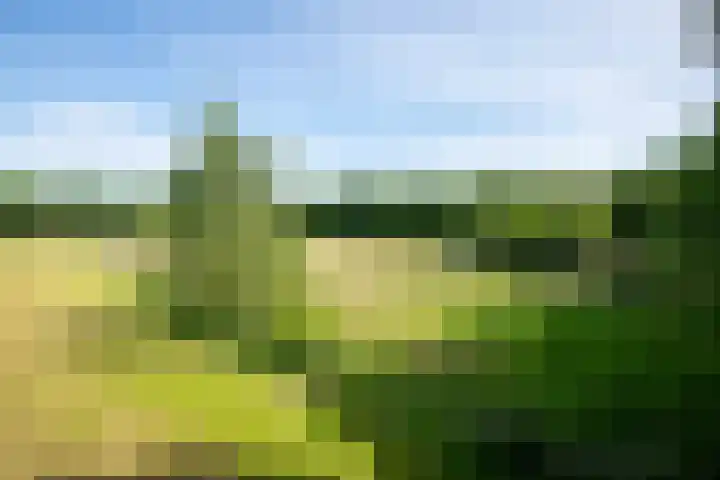 Prinsenweg 12 a Nijkerk thumbnail 52