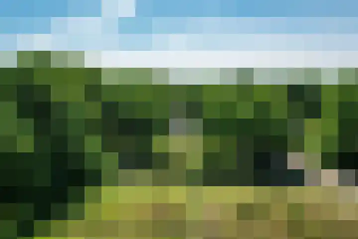 Prinsenweg 12 a Nijkerk thumbnail 53